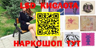 прущие грибы Конаково