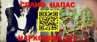 прущие грибы Конаково