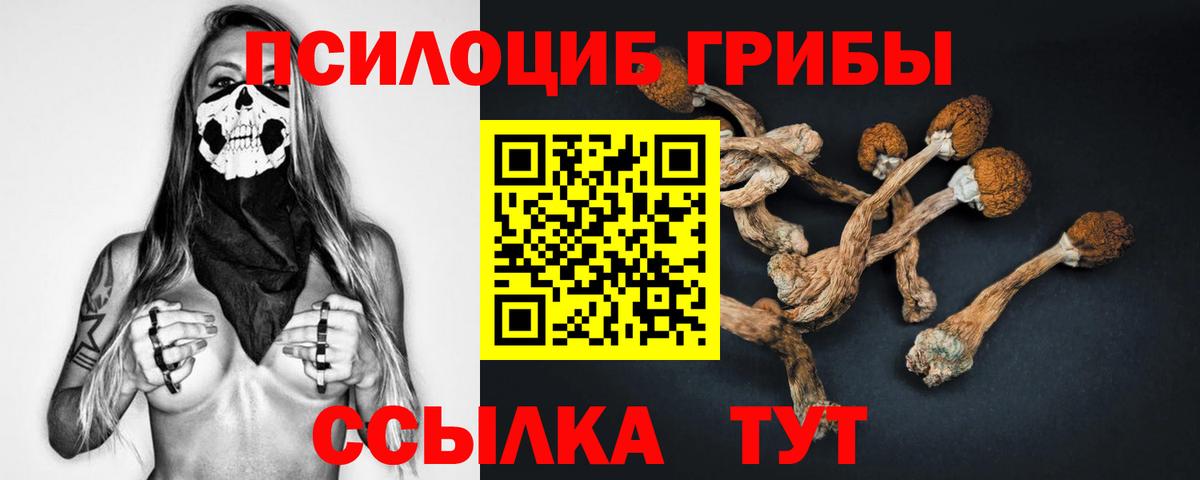 Ханты-Мансийск  Галлюциногенные грибы прущие грибы  Вход с VPN 